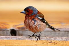 Besser Silo als H&auml;uschen