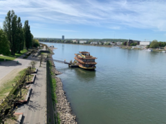 Auch das noch: Niedrigwasser im Rhein gef&auml;hrdet Mineral&ouml;ltransporte